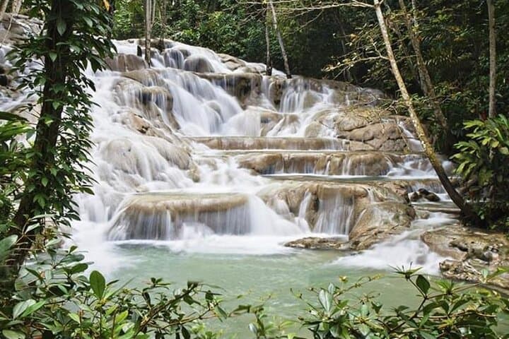Dunn's River Falls & Blue Hole: Private Transfer from Montego Bay to Ocho Rios photo 5