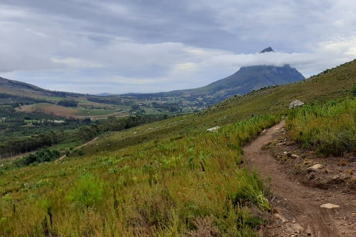 Banhoek Valley Hike & Wine Tasting — Half-Day Guided Nature Walk in Stellenbosch photo 3