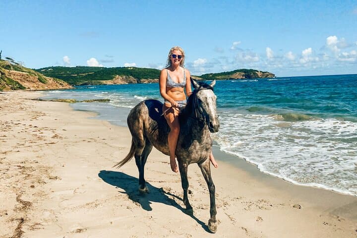 Private Beach Horseback Ride on St. Lucia’s Northeastern Coast