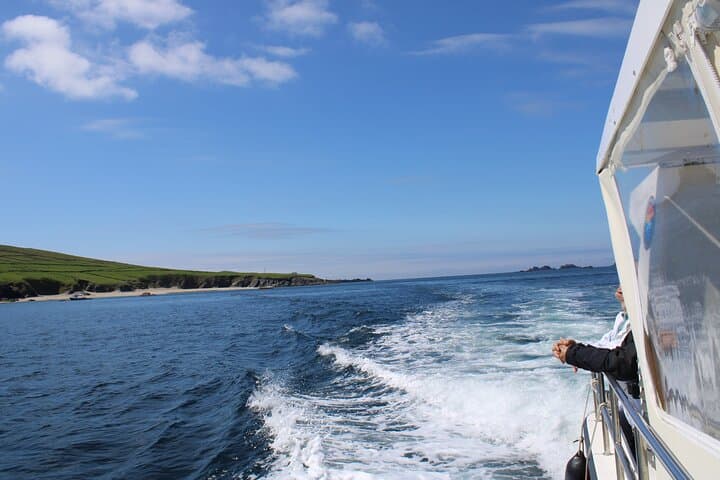 Dingle to the Great Blasket Islands: Dolphin & Wildlife Boat Tour from Dingle Bay photo 4