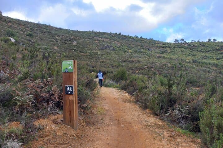 Banhoek Valley Hike & Wine Tasting — Half-Day Guided Nature Walk in Stellenbosch photo 5