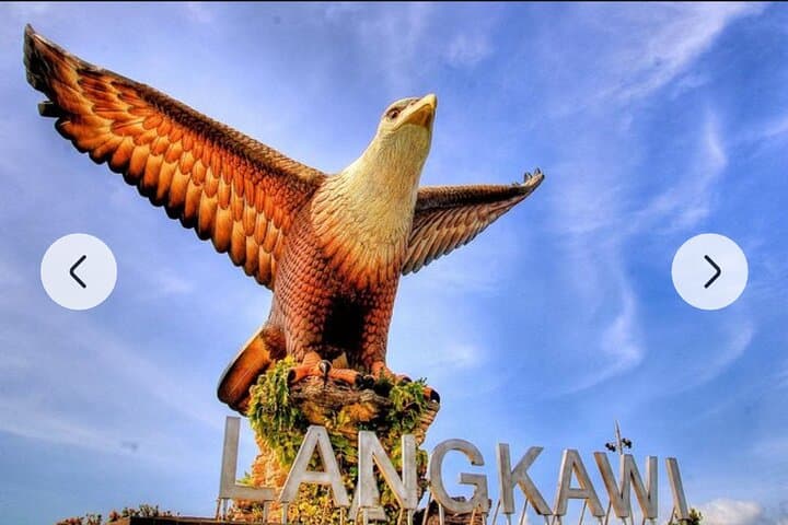 Customize Your Langkawi Private Tour: SkyBridge, Waterfalls & Mangroves photo 5