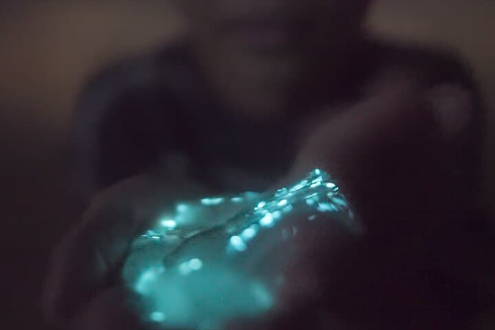 Comb Jelly Bioluminescence Kayak Tour on the Indian River Lagoon photo 2