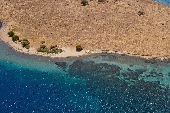 Orak Island Boat Tour from Bodrum — Day Cruise to Orak, German, Red & Rabbit Bays photo 4