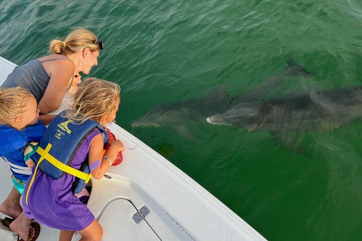 Private Dolphin Watching & Island Excursions from St. Petersburg photo 3