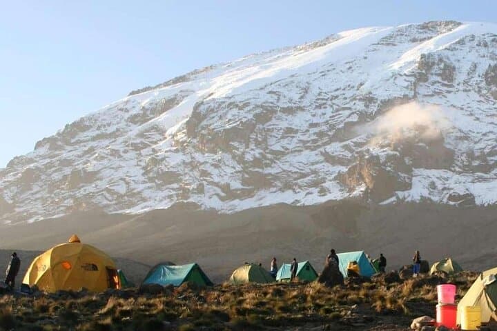 Summit Kilimanjaro: 7-Day Machame Route Guide photo 4