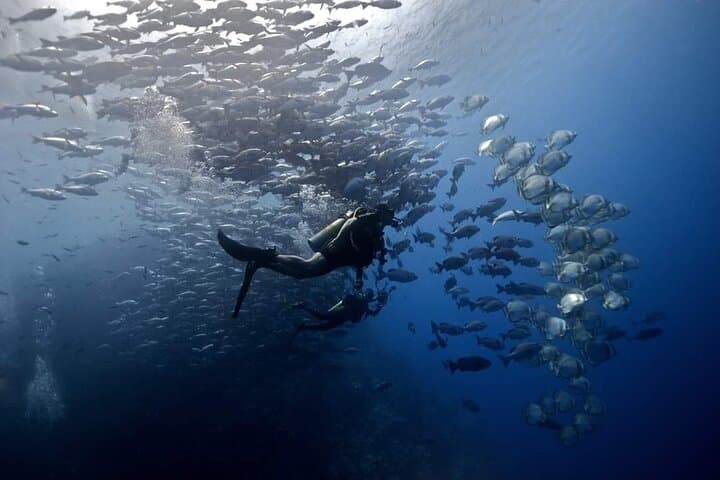 Explore Dahab: Blue Hole Snorkel, Bedouin Safari & Wadi Qunai Day Tour photo 4