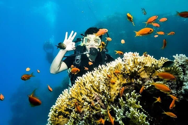 Explore Dahab: Blue Hole Snorkel, Bedouin Safari & Wadi Qunai Day Tour photo 3