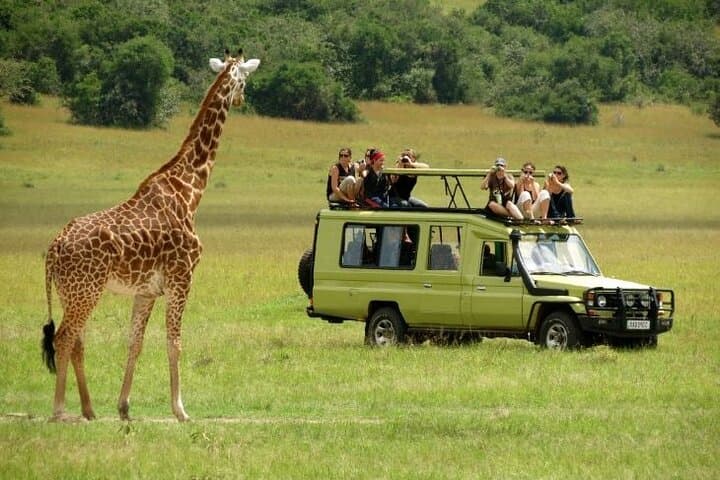 3-Day Group Safari to Masai Mara from Nairobi — Big Five & Great Migration Game Drives photo 4
