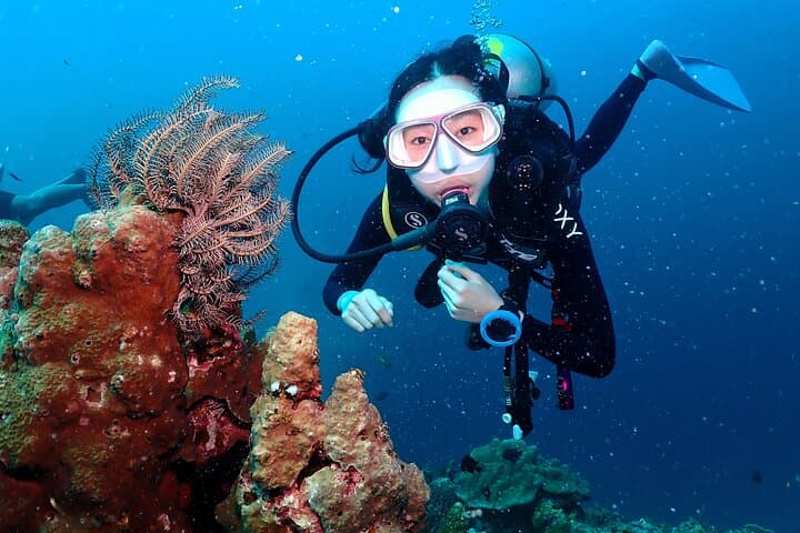 Koh Tao Open Water Course — 3-Day Scuba Certification on Thailand’s Best Reefs photo 2