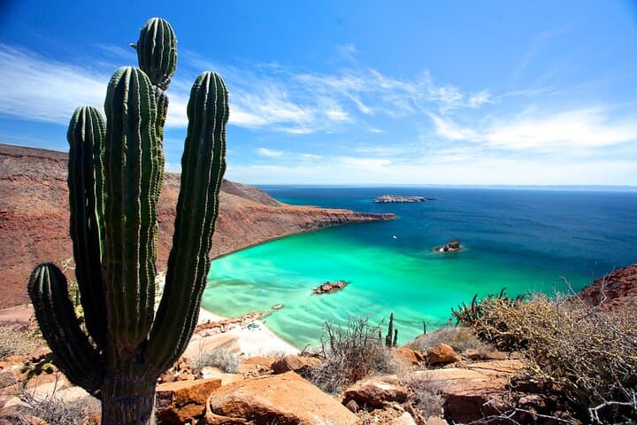 Espiritu Santo Island Snorkel & Beach Day from Los Cabos