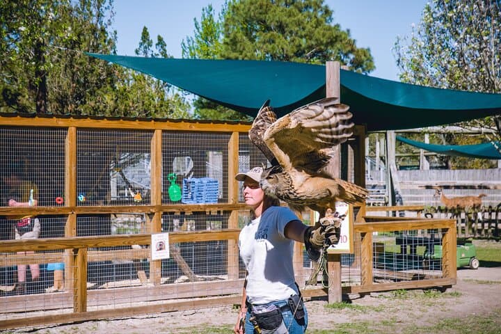 Gulf Shores Multi-Attraction Pass — Zoo, Battleship, Blakeley & The Wharf