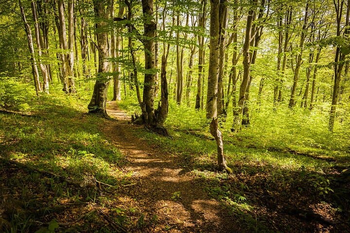 Plitvice Lakes Day Trip from Split: Full-Day Tour with Entrance Ticket photo 4