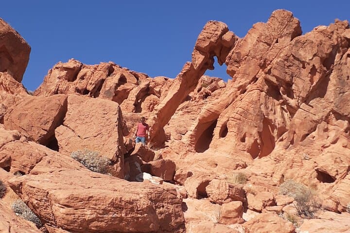 Valley of Fire State Park Day Tour from Las Vegas — Beehives, Petroglyphs & White Domes photo 5