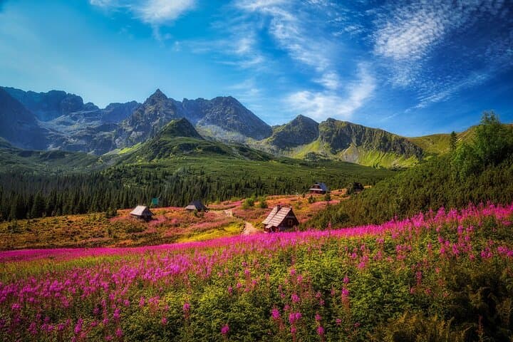 Zakopane & Tatra Mountains: Private Full-Day Tour from Krakow photo 4