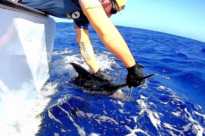 Blue Marlin Big-Game Fishing with IGFA Captain Vic — Mauritius Half-Day photo 2