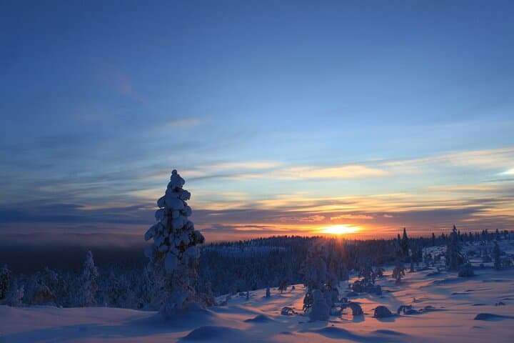 Snowshoe the Kiruna Treeline: Guided Half-Day Arctic Hike