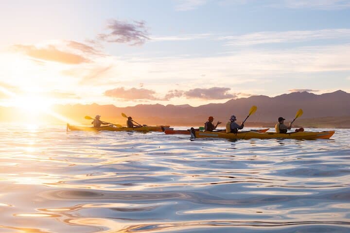 Sunset Kayaking Along Kaikoura Peninsula — Seal‑Guaranteed Evening Paddle photo 3