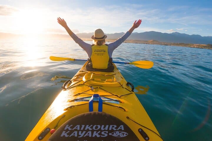Sunset Kayaking Along Kaikoura Peninsula — Seal‑Guaranteed Evening Paddle