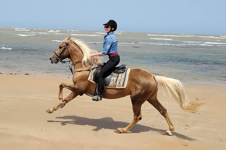 Essaouira 3-Hour Private Horseback Ride: Beach, Forest & Dunes photo 3