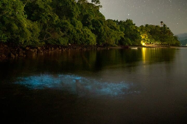 Night Kayaking the Bioluminescent Bays of Nicoya Peninsula
