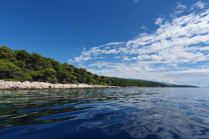 Half-Day Kayaking Under Krk Bridge: Voz Bay to St. Marko Islet photo 4