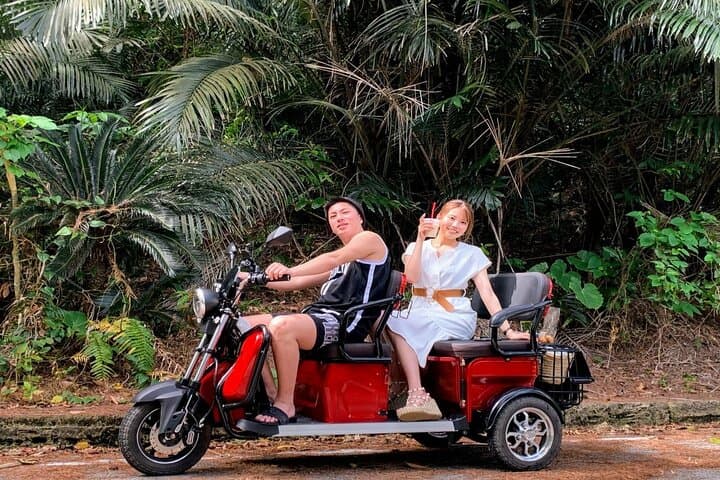Electric 3-Seater Trike Rental on Ishigaki Island — 2-Hour Coastal EV Ride photo 4