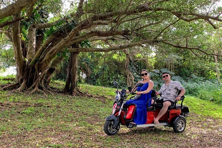 Electric 3-Seater Trike Rental on Ishigaki Island — 2-Hour Coastal EV Ride photo 6