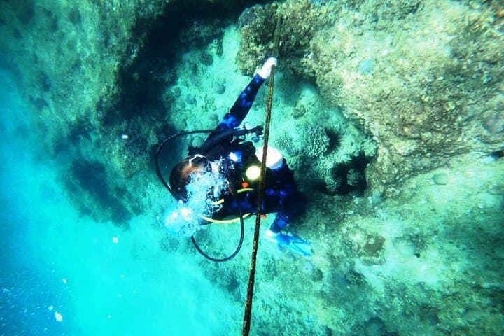 Fujairah Scuba Diving Day Trip from Dubai — Coral Reefs, Turtles & Two Dives photo 5