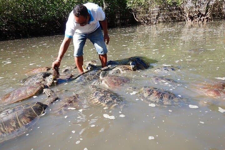 Experience Thrills on the Waters of Tanjung Benoa photo 2
