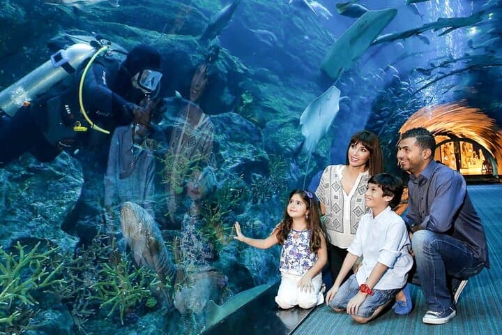 Dubai Mall Aquarium & Underwater Zoo — Skip-the-Line Tickets with Private Transfer photo 2