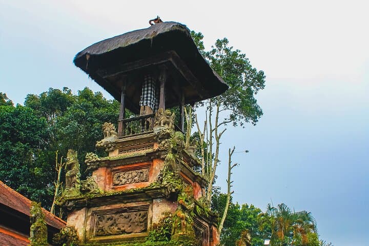 Jatiluwih & Batukaru: Full-Day Rice Terrace, Temple and Farm Tour from Ubud photo 3