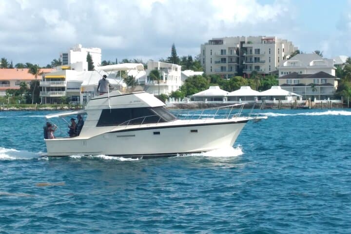 Snorkel with Turtles at Green Cay: Half-Day Excursion from Nassau photo 4