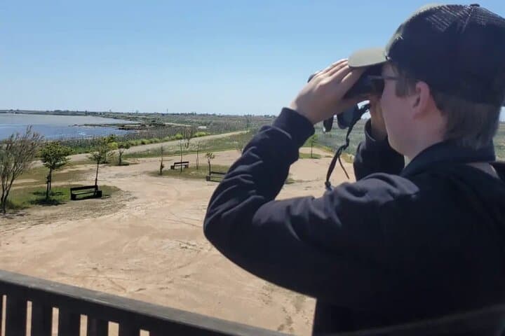 Guided Ebro Delta North Tour — Birdwatching, Rice Fields & Coastal Wetlands