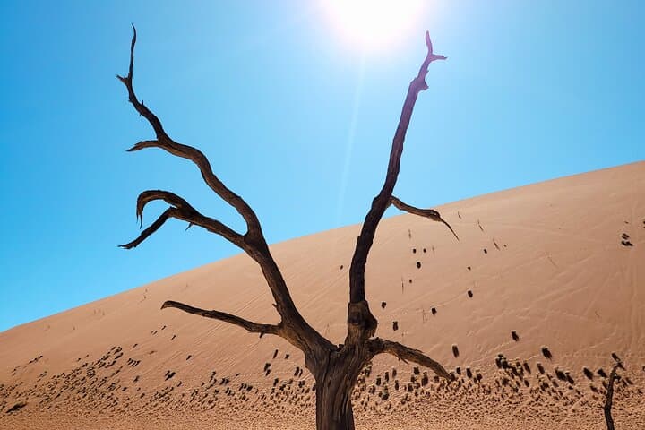 12-Day Self-Drive Namibia Safari for Beginners — Windhoek to Sossusvlei photo 6