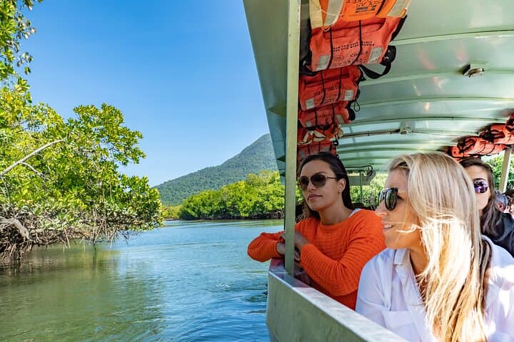 Exploring Cape Tribulation and Ziplining Through the Daintree Rainforest photo 2