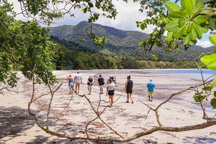 Exploring Cape Tribulation and Ziplining Through the Daintree Rainforest photo 3