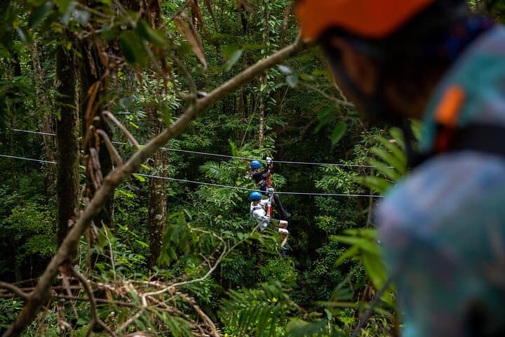 Exploring Cape Tribulation and Ziplining Through the Daintree Rainforest photo 6