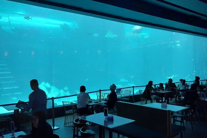 Inside Cebu Ocean Park: Philippines’ Largest Oceanarium Experience photo 4