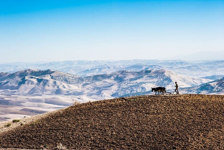 Agafay Desert & Atlas Waterfalls: Full-Day Tour from Marrakech photo 3