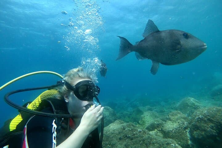 Earn Your First Scuba License on Tenerife: Private Beach Course & Guided Dives photo 3