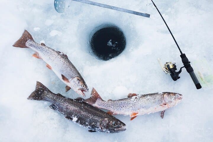 Fairbanks Ice Fishing Tour: Learn to Catch and Grill on the Ice