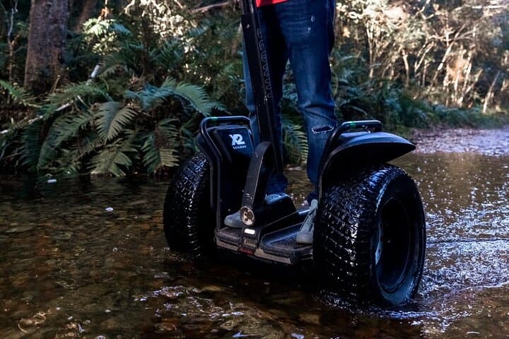 Segway Through Tsitsikamma: 1-Hour Storms River Village Ride photo 2
