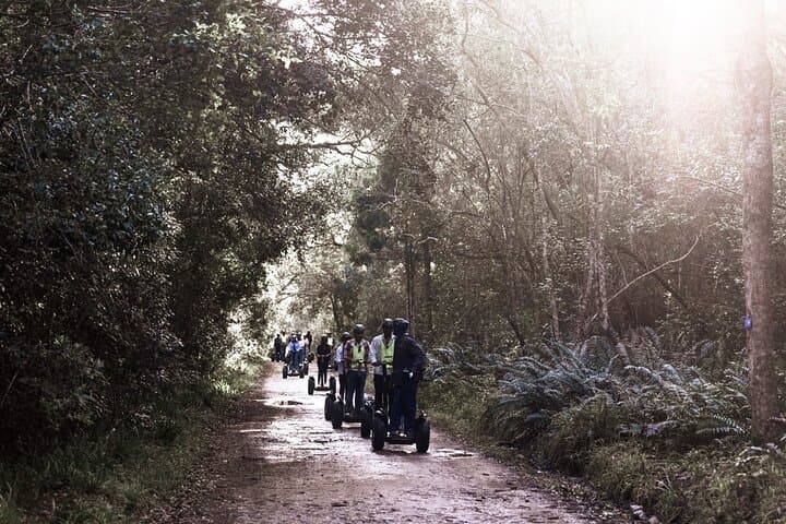 Segway Through Tsitsikamma: 1-Hour Storms River Village Ride photo 5