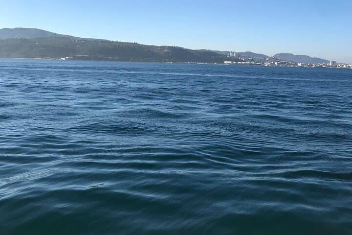 Full-Day Arrábida Guided Tour from Lisbon: Beaches, Vineyards & Views photo 4