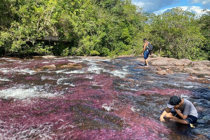 5-Day Private UTV Adventure to Caño Cristales & Serranía de la Macarena photo 2