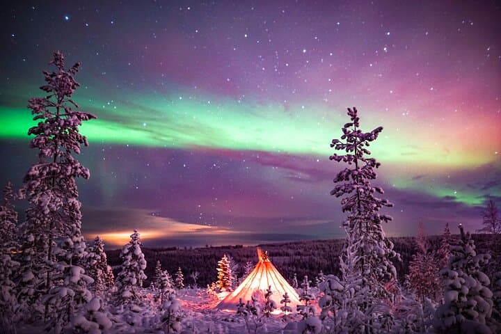 Two Days in Lapland: Ranua Wildlife, Reindeer Farm & Northern Lights Tours photo 4