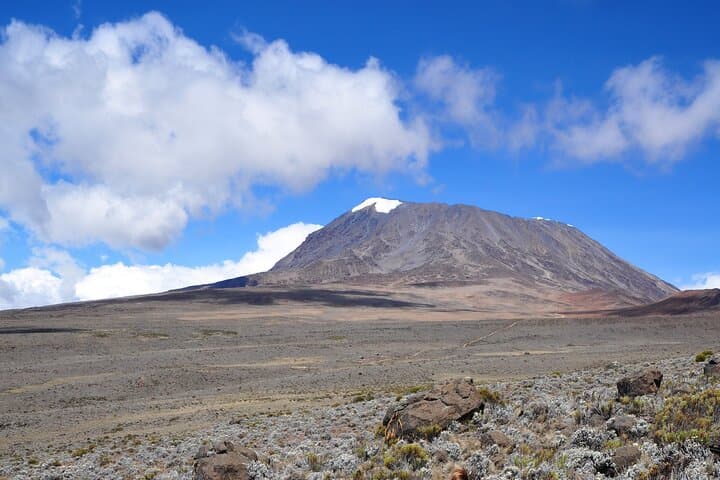 9-Day Lemosho Route Kilimanjaro Trek: Summit Uhuru Peak photo 3
