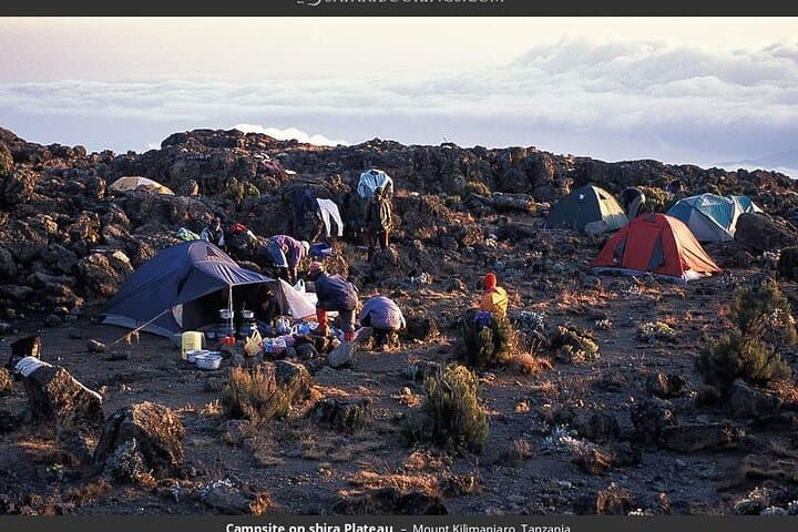 Conquer Mount Kilimanjaro: 7-Day Lemosho Route Guide photo 2