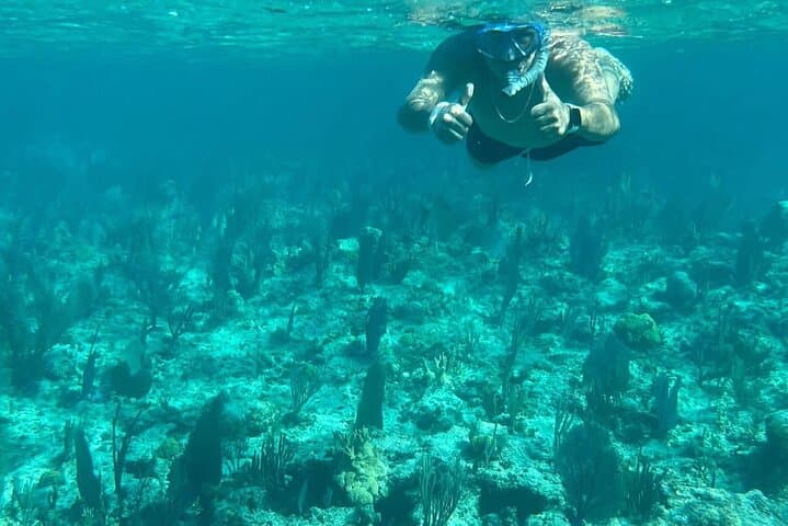Turtle Swim and Rose Island Snorkel Adventure from Nassau